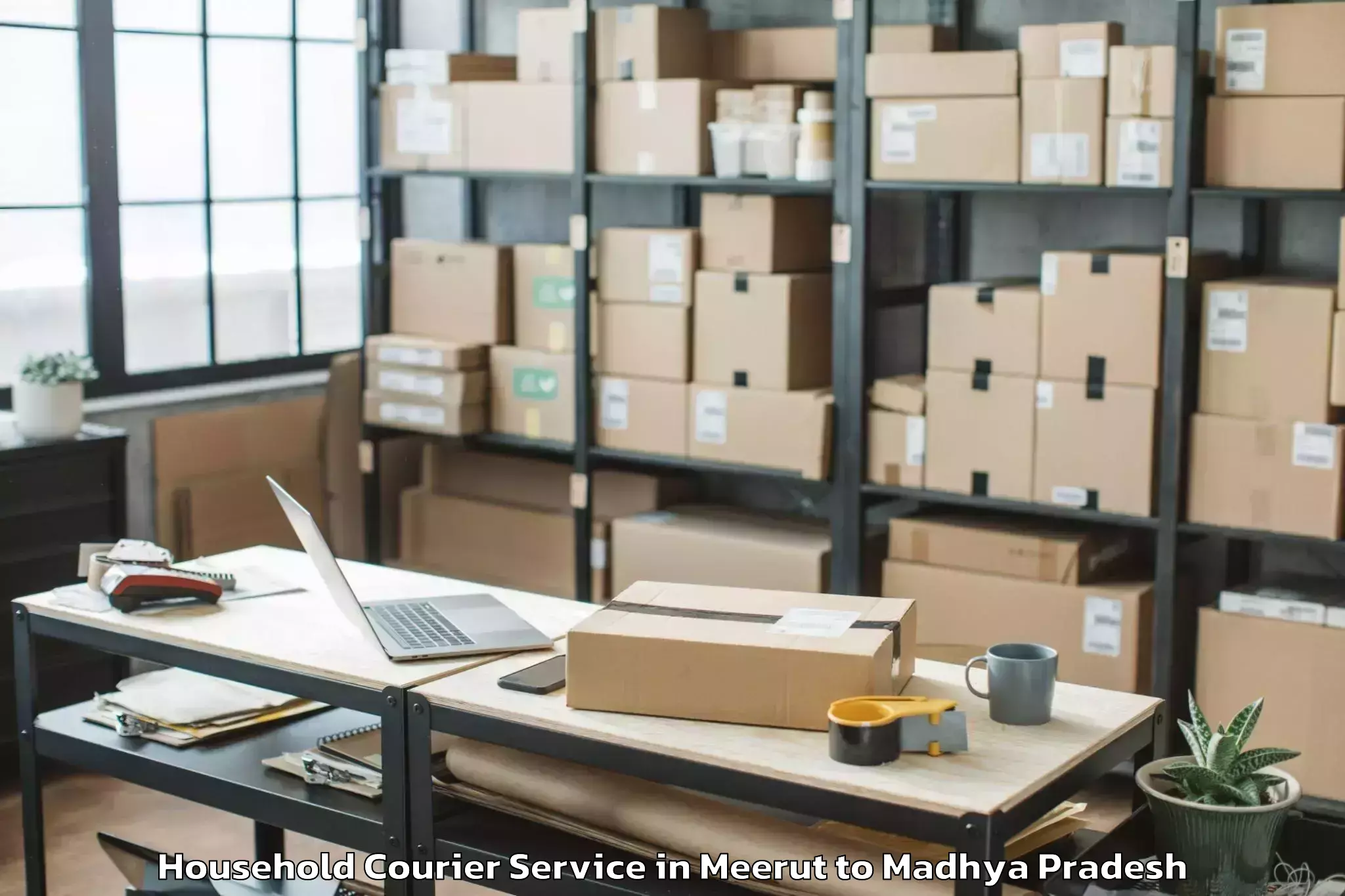 Top Meerut to Pachore Household Courier Available